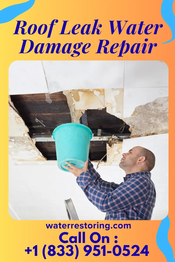 Roof Leak Water Damage Repair in Auburndale, WI