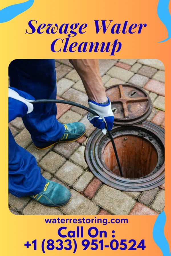 Sewage Water Cleanup in Auburndale, WI
